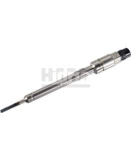 H70 009 HEHKUTULPPA PAINEANTURILLA Main Image