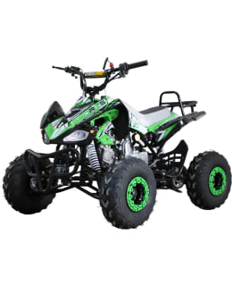 PM 4T 110CC PUOLIAUTOM MU/VIH MÖNKIJÄ Main Image