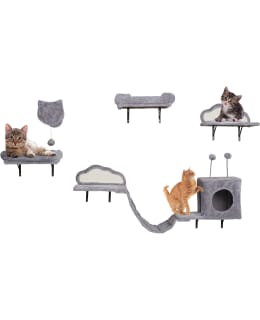 PL 2 KISSAN KIIPEILEYSEINÄ Main Image