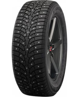 NANKANG SW-9 255/45R20 NASTARENGAS Main Image