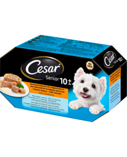 CESAR SENIOR HYYTELÖLAJITELMA 4X150G Main Image