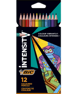 BIC INTENSITY 12KPL VÄRIKYNÄ Main Image