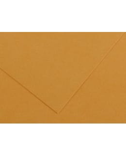 CANSON LEATHER 50X65CM VÄRIKARTONKI Main Image