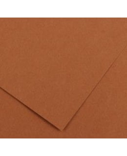 CANSON NUT 50X65CM VÄRIKARTONKI Main Image