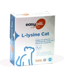VIVALDIS L-LYSINE 30X2 G CAT EASYPILL Main Image