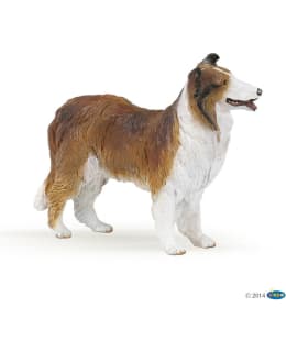 PAPO 30230 COLLIE KOIRA Main Image