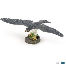 PAPO HAWK HAUKKA Main Image