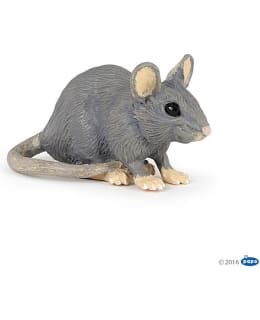 PAPO HOUSE MOUSE HIIRI Main Image