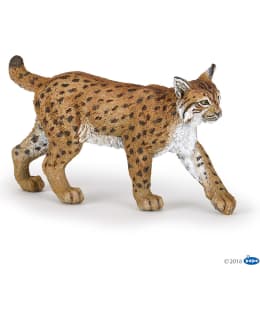 PAPO LYNX ILVES Main Image