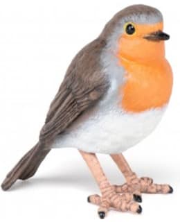 PAPO ROBIN PUNARINTA Main Image