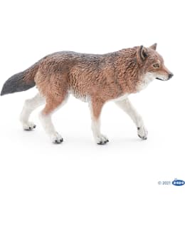 PAPO WOLF SUSI Main Image