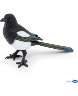 PAPO MAGPIE HARAKKA Main Image