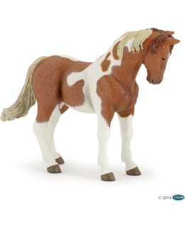 PAPO 51094 PINTO MARE Main Image