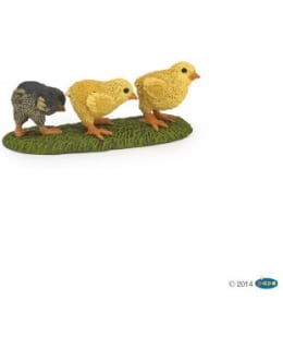 PAPO CHICKS TIPU Main Image