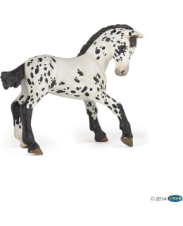 PAPO 51540 BLACK APPALOOSA FOAL Main Image