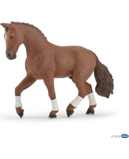 PAPO ALEZAN HANOVERIAN HORSE HEVONEN Main Image