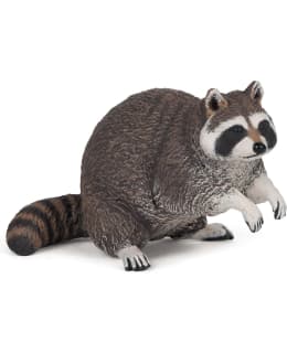 PAPO RACOON PESUKARHU Main Image
