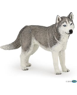 PAPO 54035 SIBERIAN HUSKY KOIRA Main Image