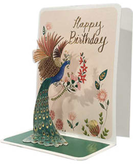 LP 3256818010300 LES POP'S 3D KORTTI Main Image