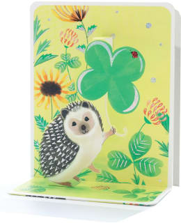 LP 3256820400000 LES POP'S 3D KORTTI Main Image