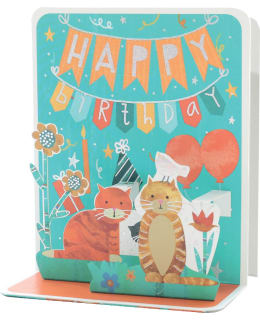 LP 3256823022300 LES POP'S 3D KORTTI Main Image