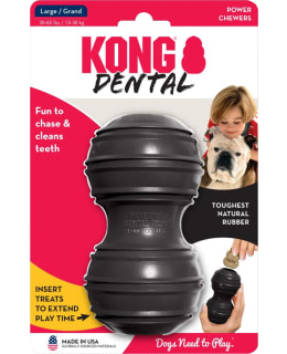 KONG EXTREME L DENTAL KOIRAN LELU Main Image