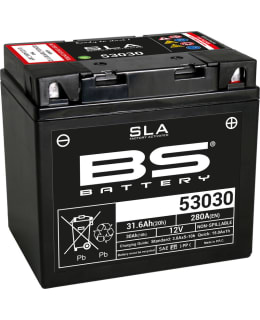 BS BATTERY 53030 (FA) SLA - SEALED & AC Main Image
