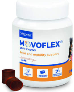VIRBAC MOVOFLEX 6 G X 30 NIVELRAVINNE Main Image