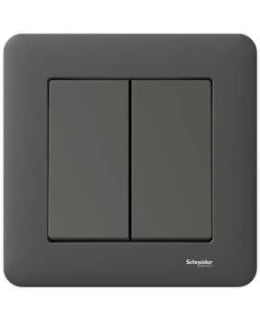 SCHNEIDER EXXACT ANT. 5-KRUUNUKYTKIN Main Image