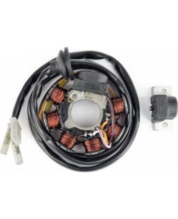 TNT STATOR, MINARELLI VERTICAL Main Image