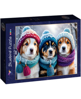 BLUEBIRD DOGGIES IN THE WINTER 300P Main Image