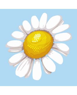 FA PRETTY DAISY MINI NUMEROMAALAUS Main Image