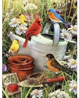 FA BIRDS IN THE GAR TIMANTTIMAALAUS Main Image