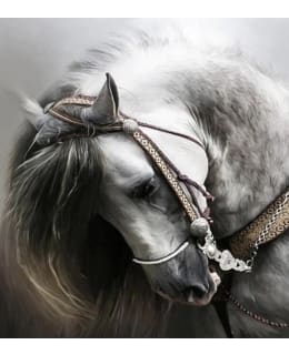 FA GREAT HORSE TIMANTTIMAALAUS Main Image