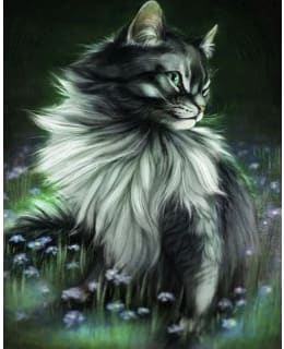 FA PRETTY CAT TIMANTTIMAALAUS Main Image