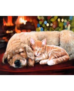 FA SLEEPING COMPAN NUMEROMAALAUS Main Image