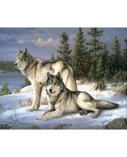 Paint by numbers Wolves Couple Main Image
