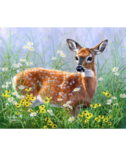 FA DOE IN THE MEAD NUMEROMAALAUS Main Image