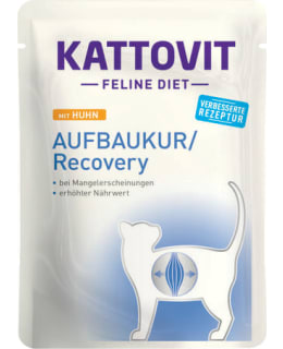 KATTOVIT ENERGY CHICKEN 85G SACHET Main Image