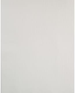 SANDUDD 1775-13 MAALAUSTAPETTI Main Image