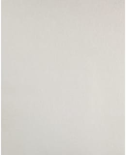 SANDUDD 1776-12 MAALAUSTAPETTI Main Image