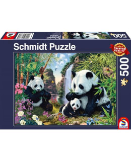 SCHMIDT PANDA FAMILY AT THE WATERF 500P Main Image