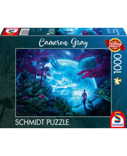 SCHMIDT CELESTIAL SKY 1000P PALAPELI Main Image