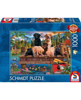 SCHMIDT FAMILY OF DOGS AT THE LAKE 1000P Main Image