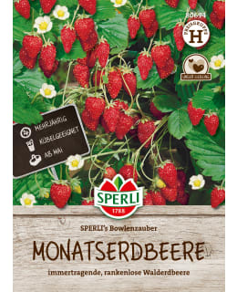 STRAWBERRY SPERLI'S BOWLENZAUBER Main Image