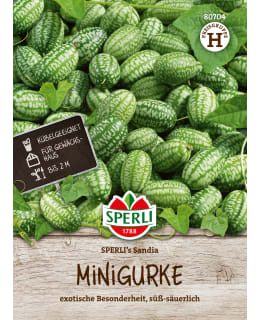 Mexican sour cucumber Sperli´s Sandia Main Image