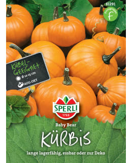 SPERLI MINIKURPITSA BABY BEAR SIEMEN Main Image