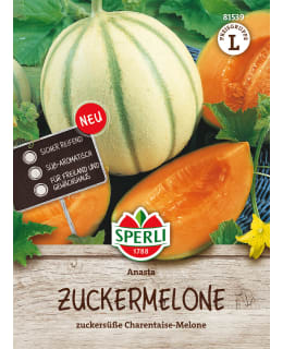 HUNAJAMELONI ANASTA F1 Main Image