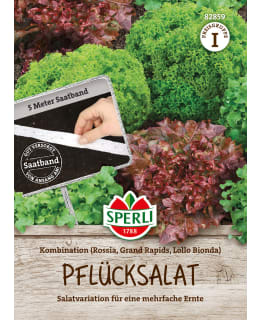 LOOSE LEAVED LETTUCE MIX IN SEED TAPE Main Image