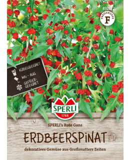 SPERLI MANSIKKAPINAATTI Main Image